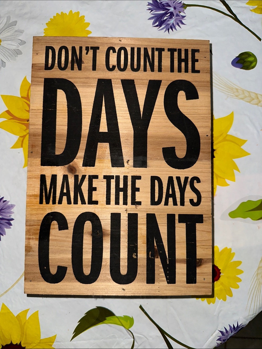 Rustic Wood 'Don't Count The Days' Wall Sign - Black on Natural 7x 10